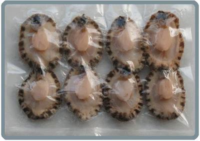 水產(chǎn)品冷凍加工全解析 從優(yōu)質(zhì)鮑魚肉市場看市場趨勢與規(guī)范